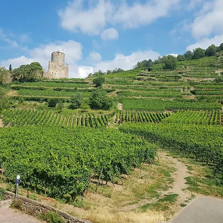 Center - Cote Vignoble - Appartement Kaysersberg-Vignoble